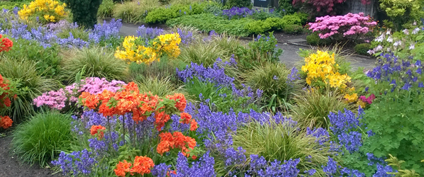 Viele bunde Blumen auf Gräbern.