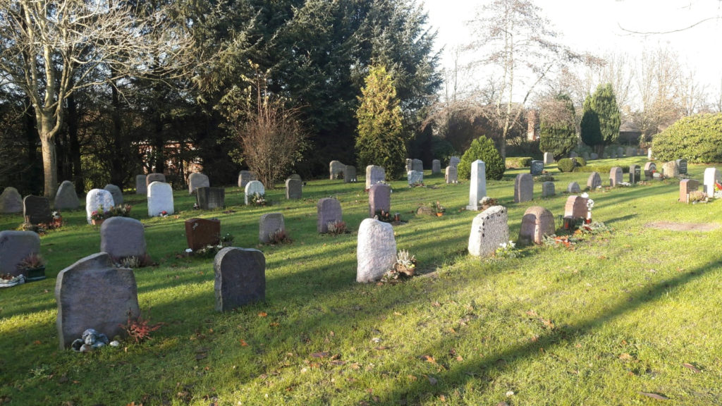 Mehrere stehende Grabsteine in drei Reihen umgeben von Rasen.