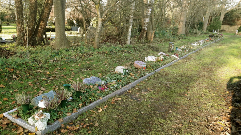 Viele liegende Grabsteine in einer Reihe mit etwas Bepflanzung.