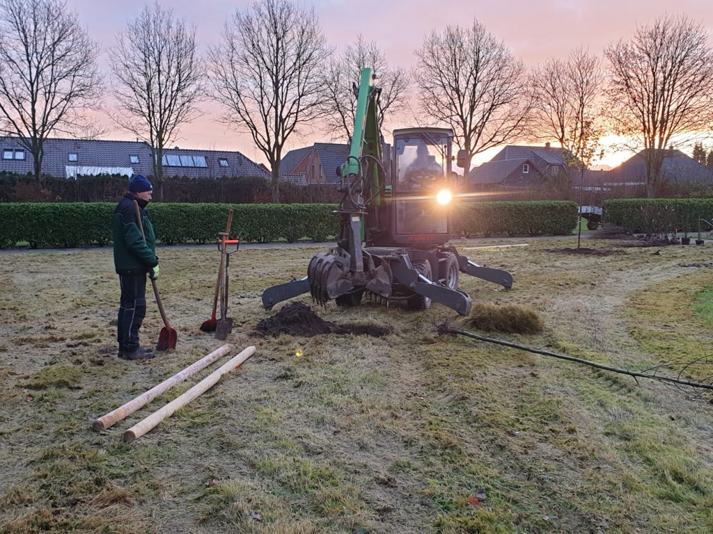 Ein Bagger auf dem Südfriedhof Husum.