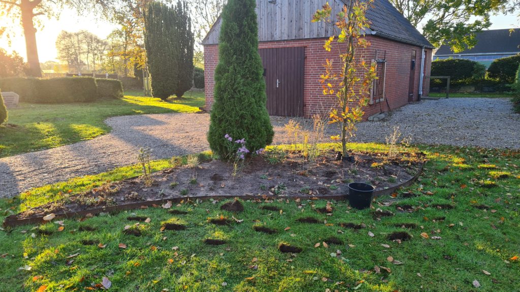 Zwiebelpflanzung, Friedhof Braderup