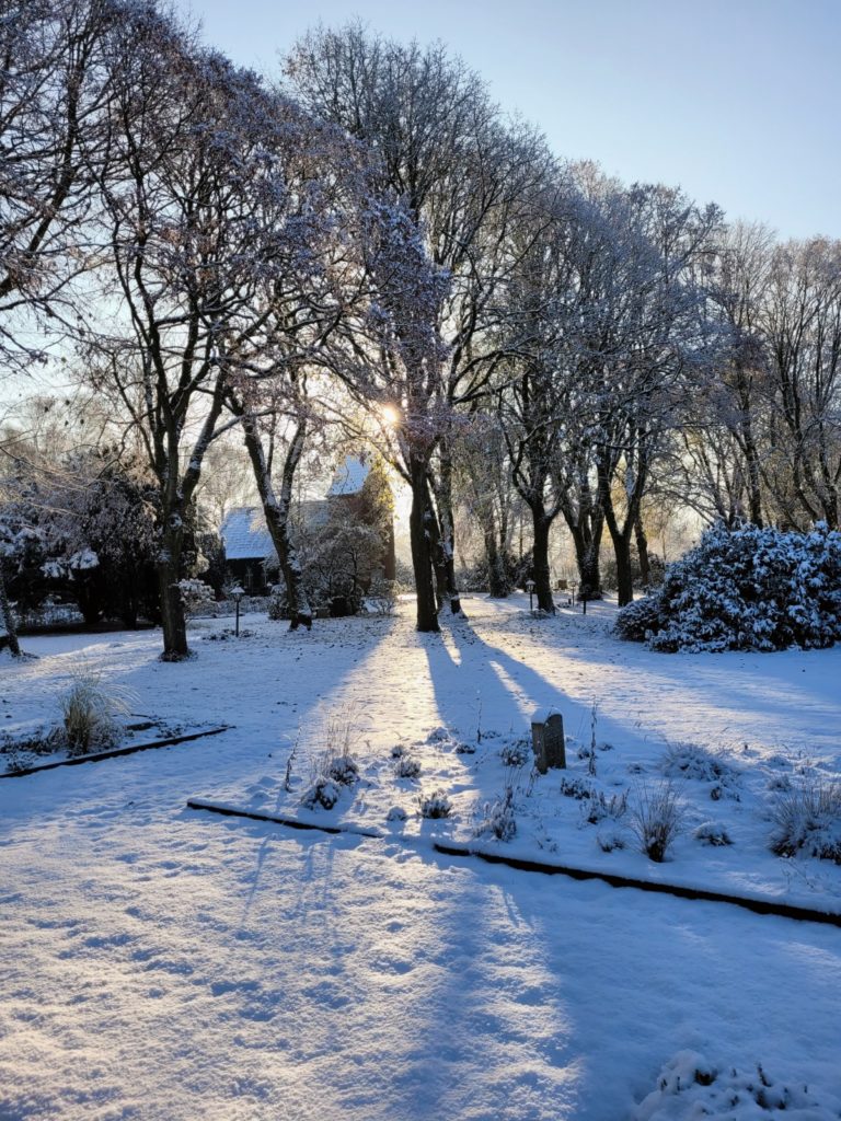 Schnee auf dem Friedhof, zwischen hinten stehenden Bäumen glänzt die Sonne hindurch. 