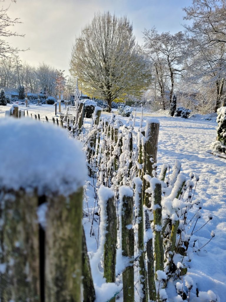 Holzpfähle auf dem Friedhof, es liegt Schnee.