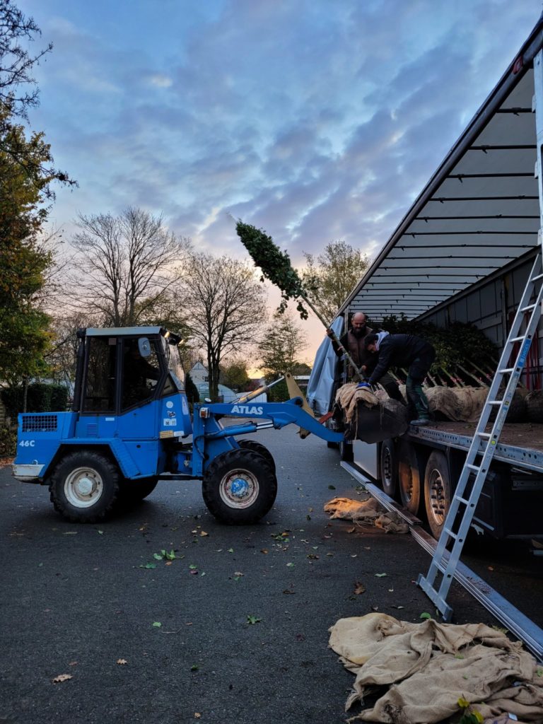 Ein Bagger hilft zwei Mitarbeitern Gehölze aus einem LKW zu holen.