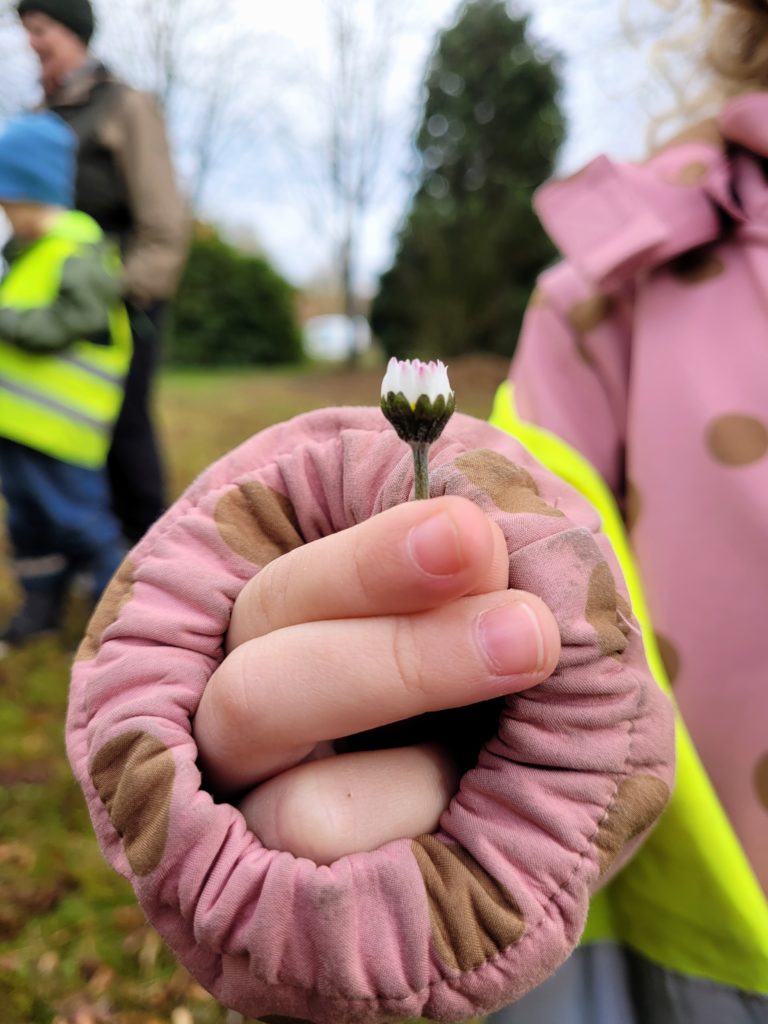 Ein Kindergartenkind hält eine Wiesen-Margerite in die Kamera.
