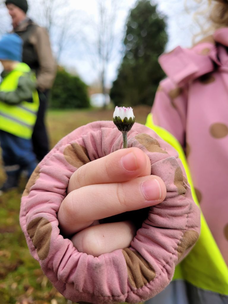 Ein Kindergartenkind hält eine Wiesen-Margerite in die Kamera. 