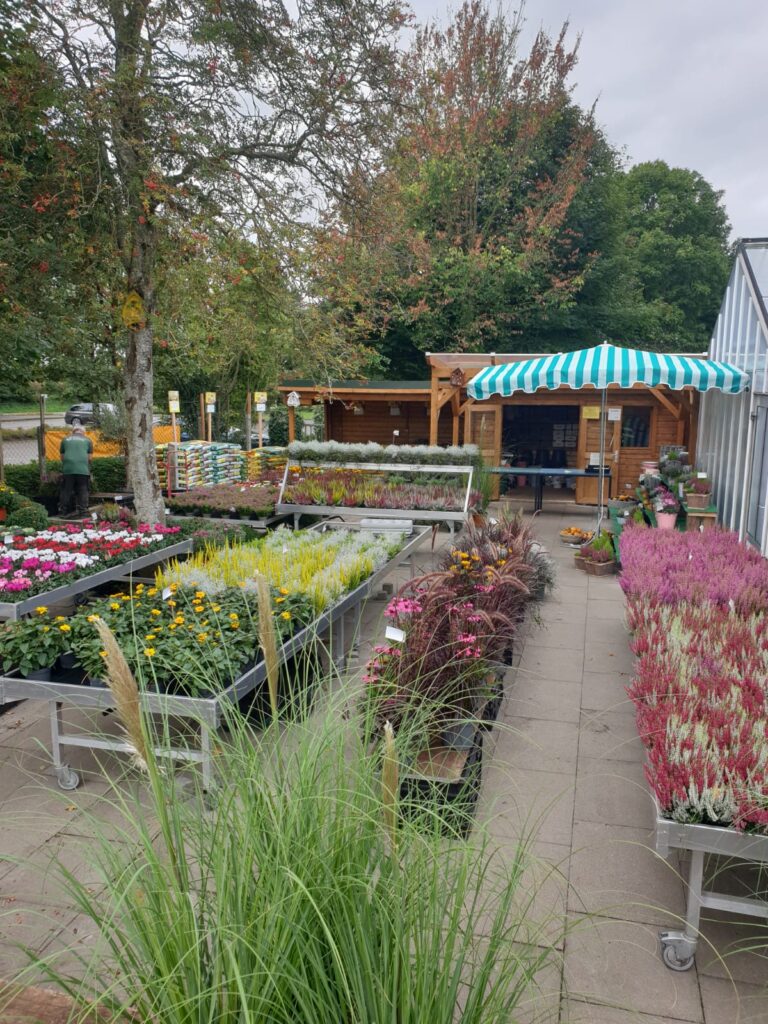 Herbsteröffnung unserer Gärtnerei am Südfriedhof Husum