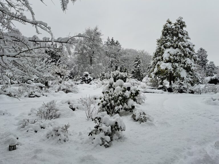 Schneetreiben in Nordfriesland