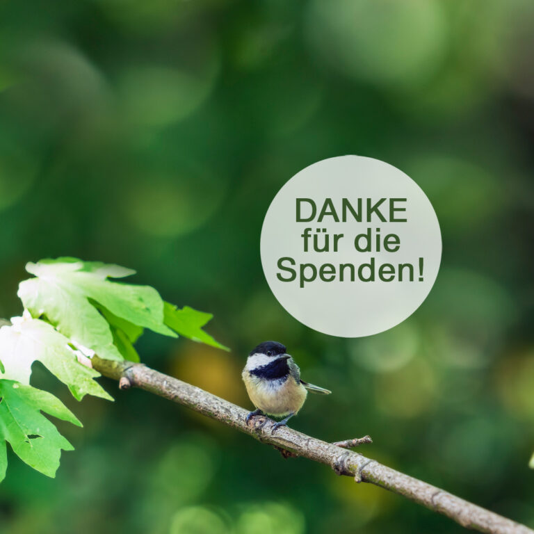 40 Nistkästen – Danke für die Unterstützung!