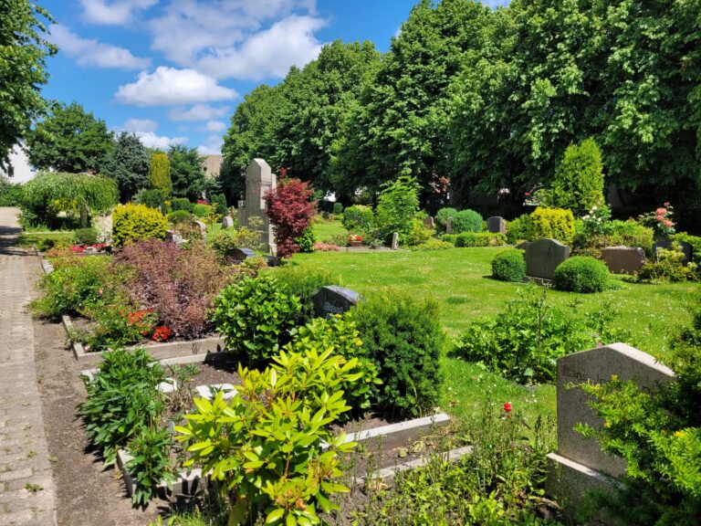 Blick über den Westfriedhof
