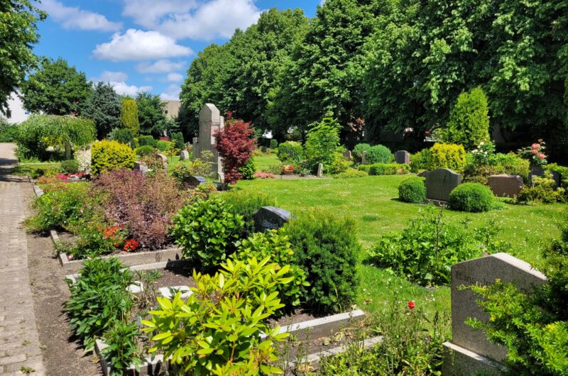 Blick über den Westfriedhof