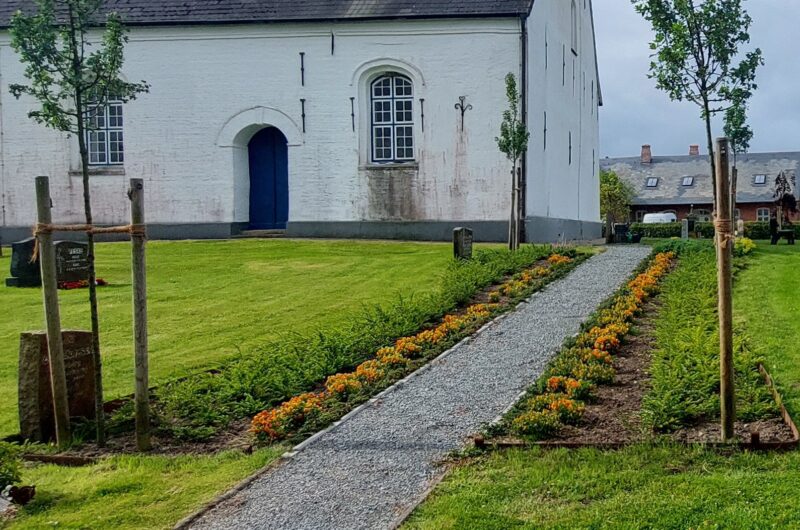 Ein Weg, rechts und links davon bepflanzte Grabflächen